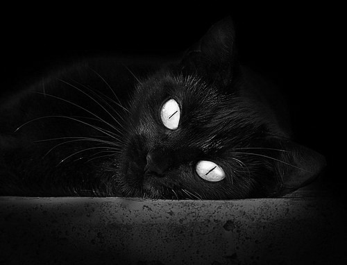 开云kaiyun-“青春在路上”青少年篮球梦想公益行在成都开启，成都市青少年篮球队