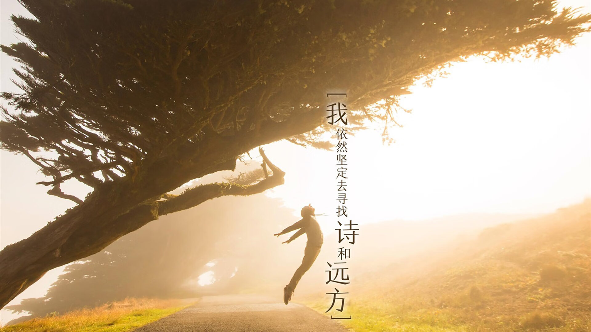 Kaiyun(中国)开云-《电竞行业的绿色发展：绿色认证、低碳办赛理念推广》，电竞产业生态