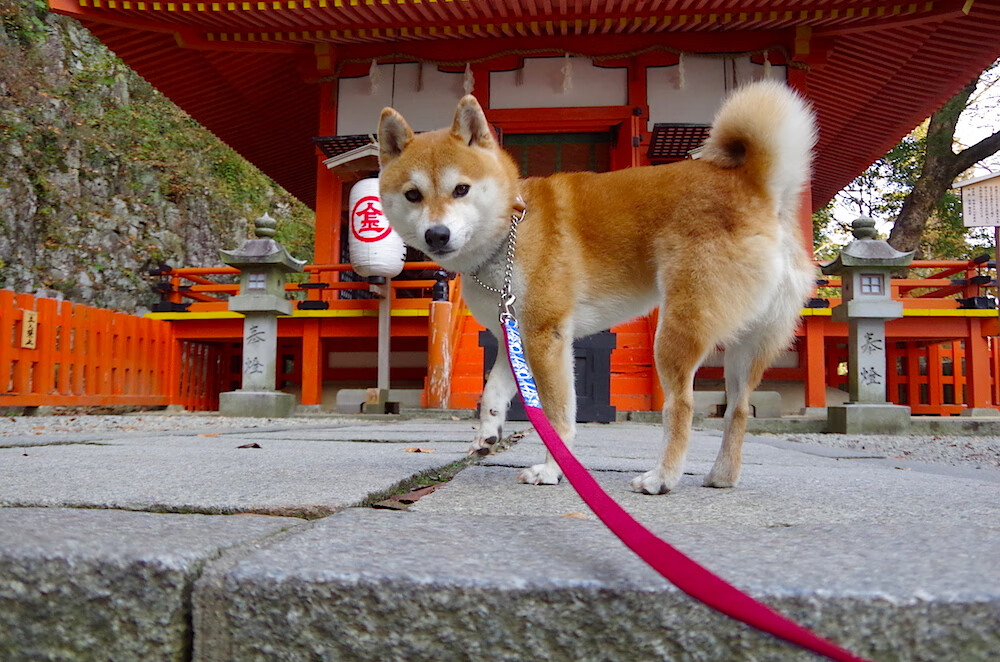 复苏中的电竞线下活动，封闭环境中与粉丝近距离交互，电竞复盘