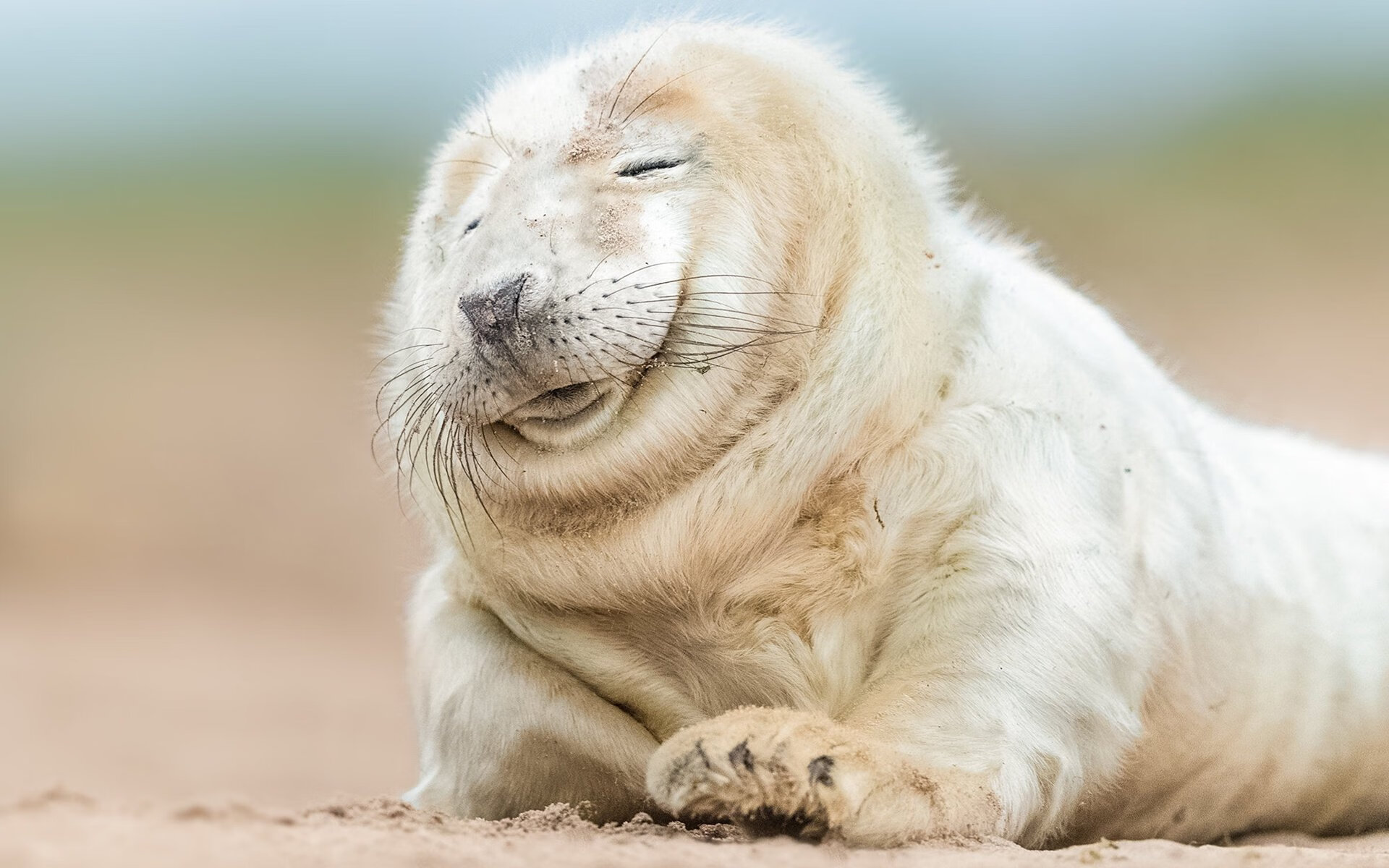 开云体育-拜仁连续庆祝，锁定联赛冠军希望，拜仁连续夺冠