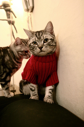 拜仁锋线新星持续发光,成为欧洲最具潜力的年轻球员,拜仁横扫欧洲