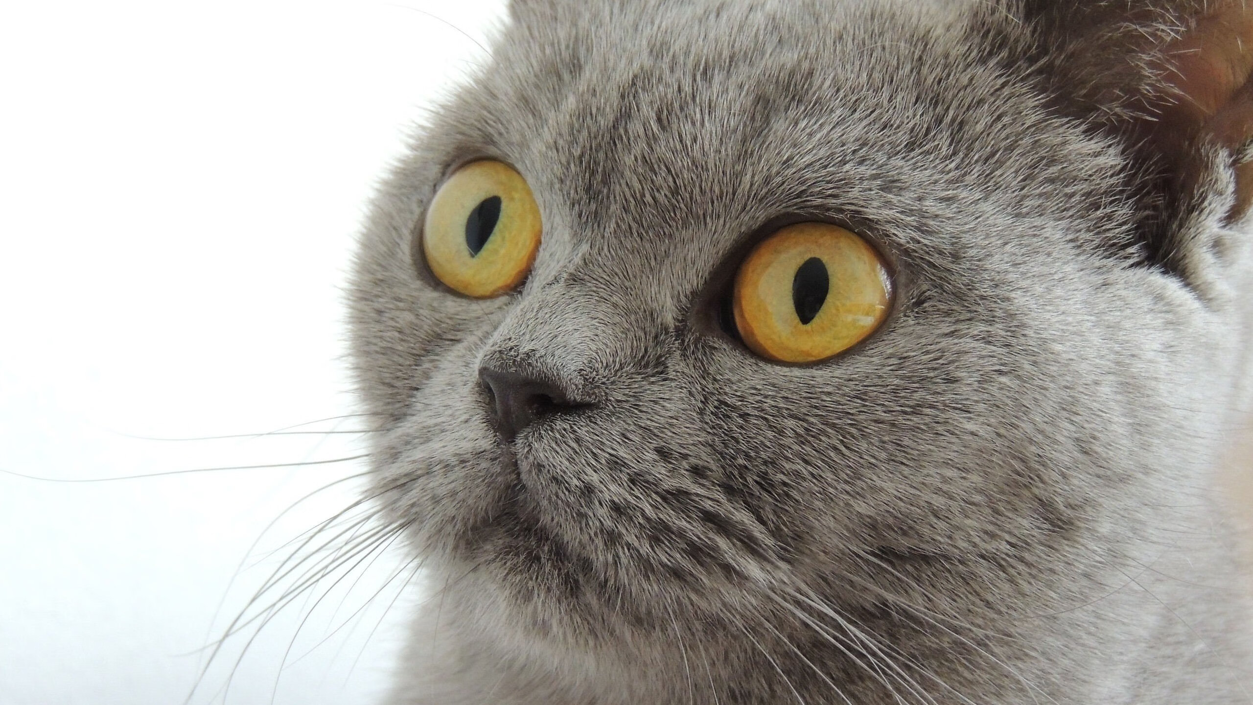 开云kaiyun-次世代技术助阵：智能球桌引领运动新潮流，智能球馆