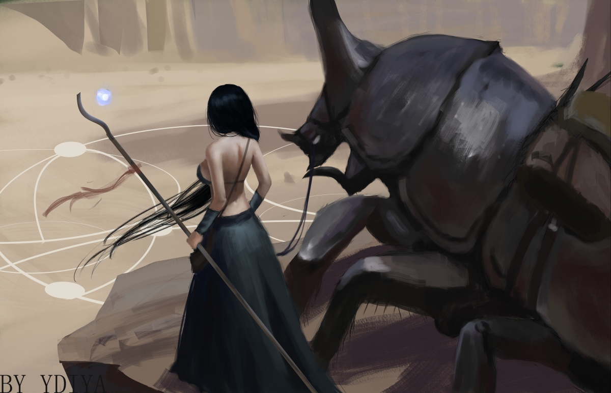 球场记忆：球迷心中不可磨灭的经典瞬间，球场dj