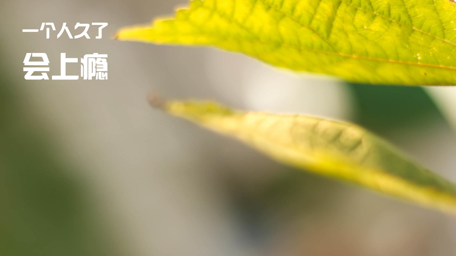 西甲激战正酣,比分2-2,精彩进球由各自核心球员完成,关键数据:控球率60%、射门次数13次