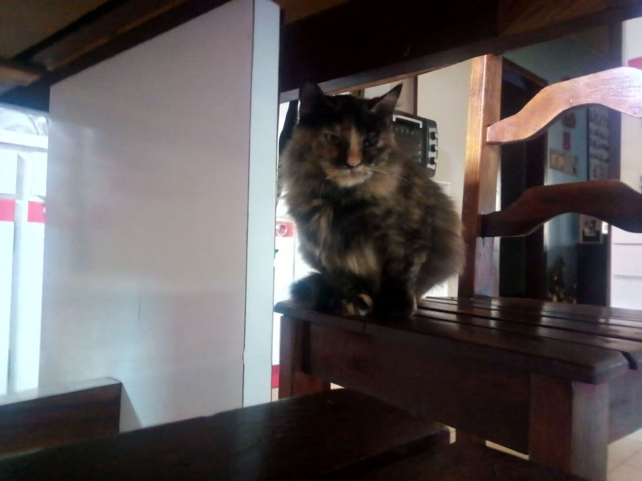 逆境出英雄：那些在绝境中焕发新生命的球队，逆境主角