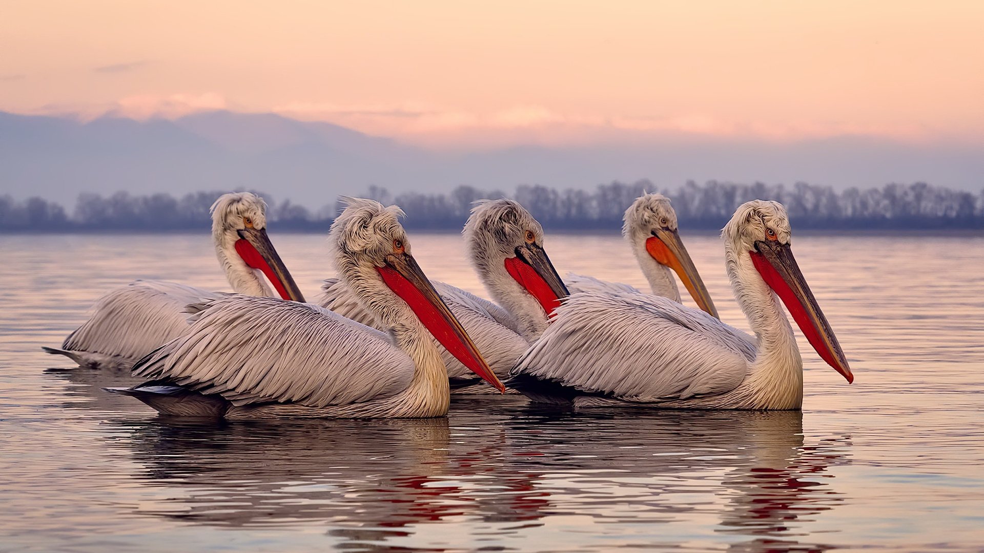 kaiyun.com-逆转“传奇名场”：那些震撼心灵的回忆，世界上最传奇的逆转