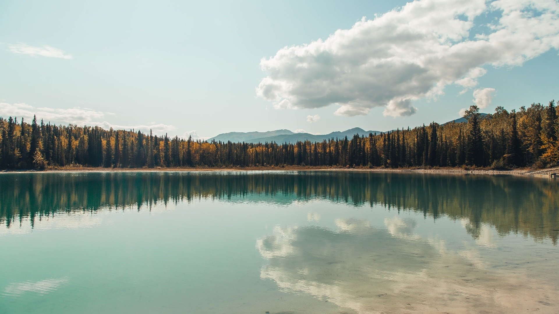 开云网页版登录入口-青训“人才+设备+场馆”产业链全景布局，行业生态不断完善，青训队伍