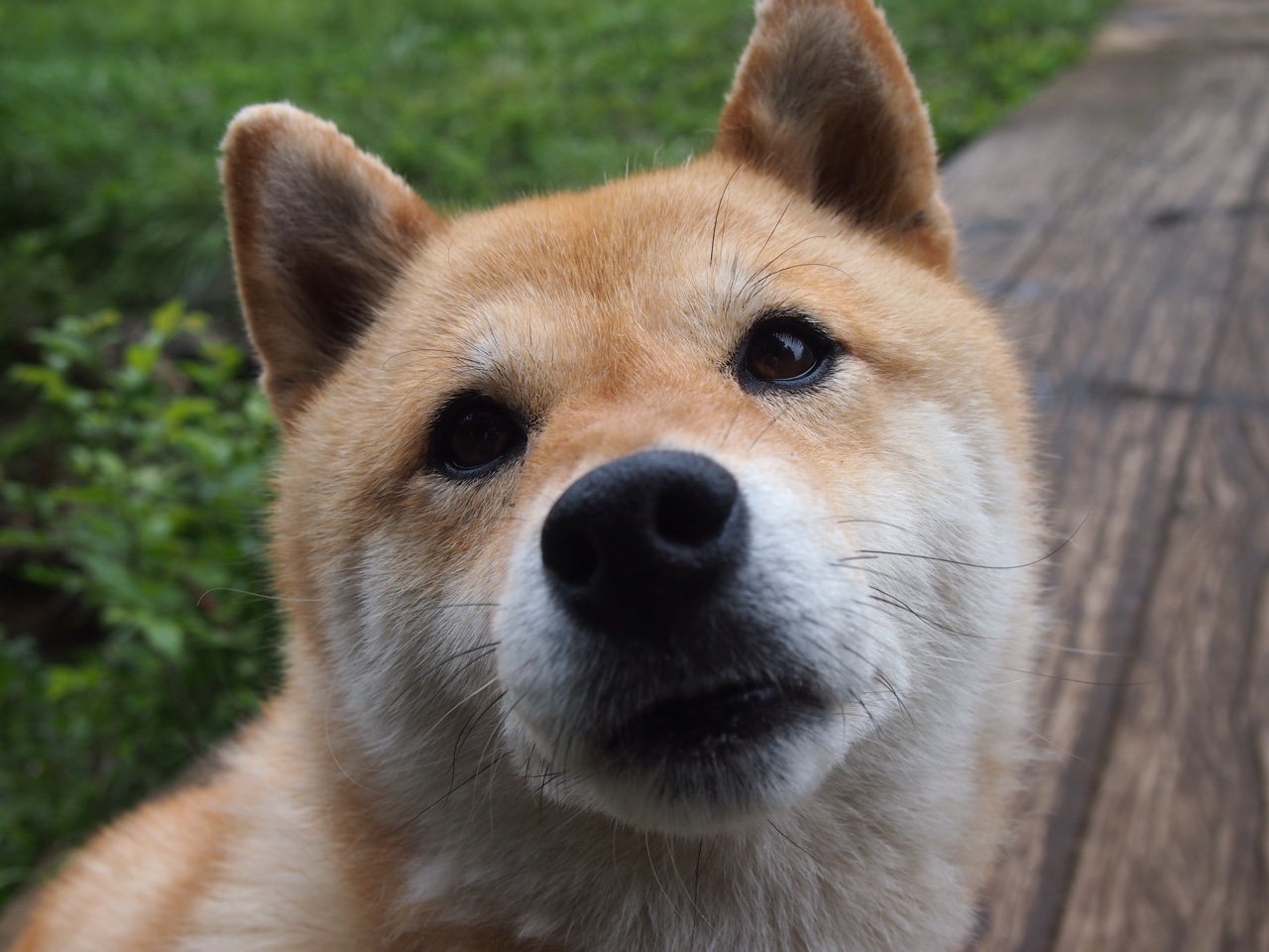 KAIYUN 中国大陆-Heroic 战队在 BLAST Premier 中夺冠，heroic战队世界排名