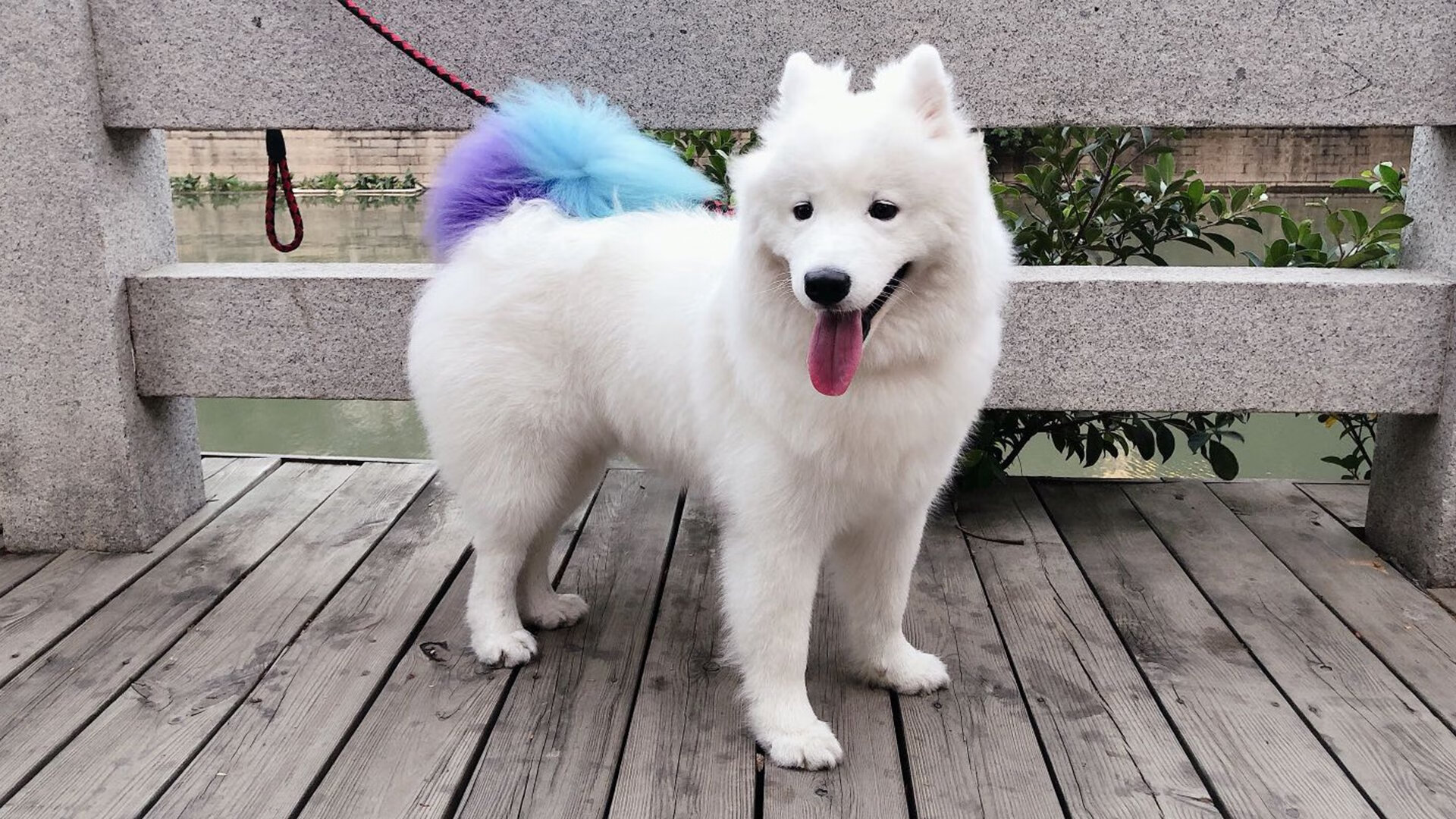 Team Liquid互动游戏上线测试，team liquide