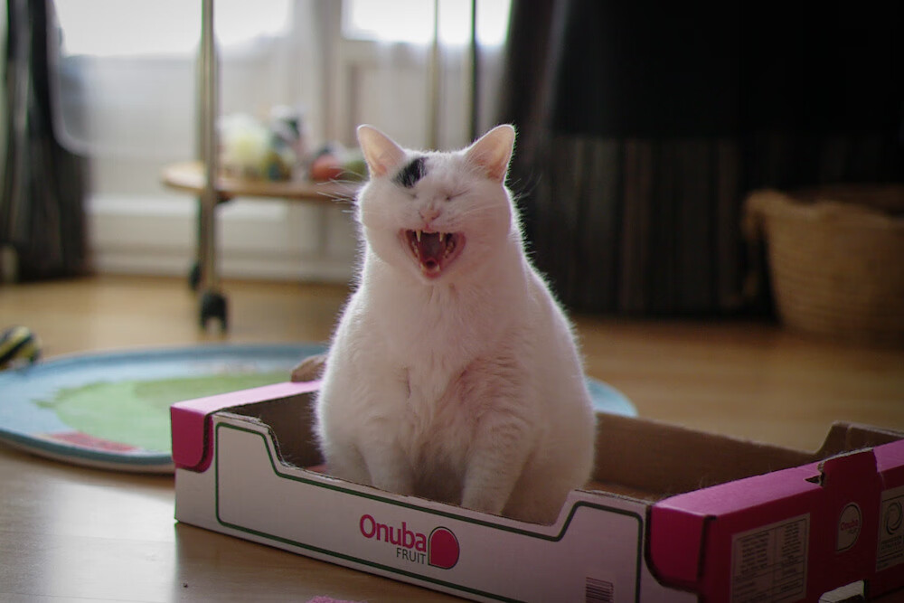 历史交锋重现，经典对决再度激烈展开，历史对战