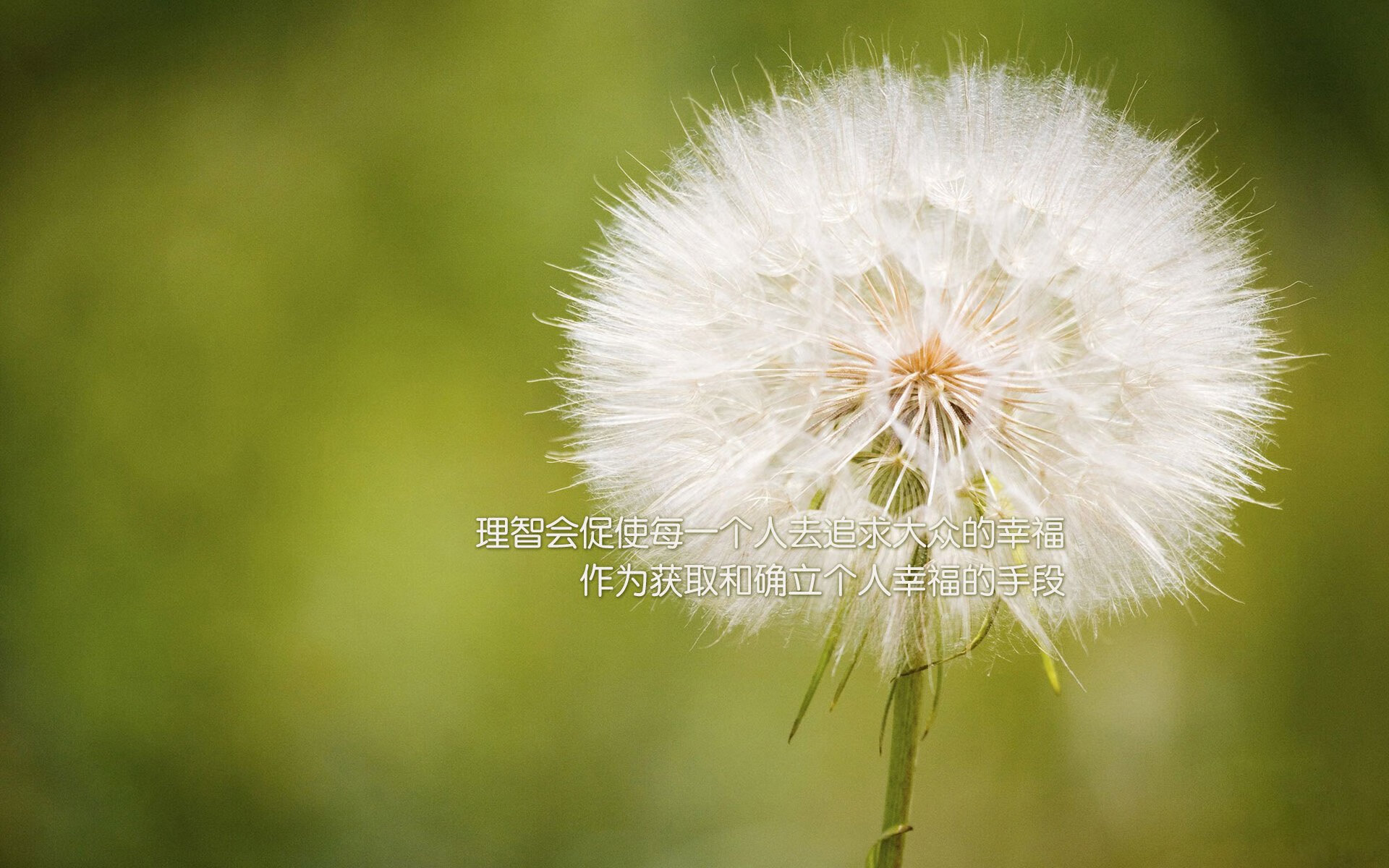 塞尔维亚队在欧预赛比赛中表现平平，仍有进步空间，塞尔维亚联赛