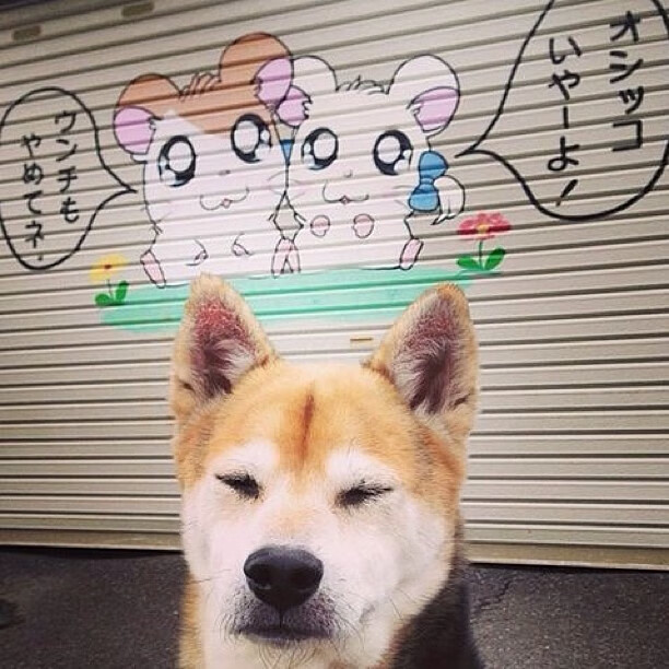 开云kaiyun-地方足球市场开发是否存在巨大潜力，足球市场发展前景