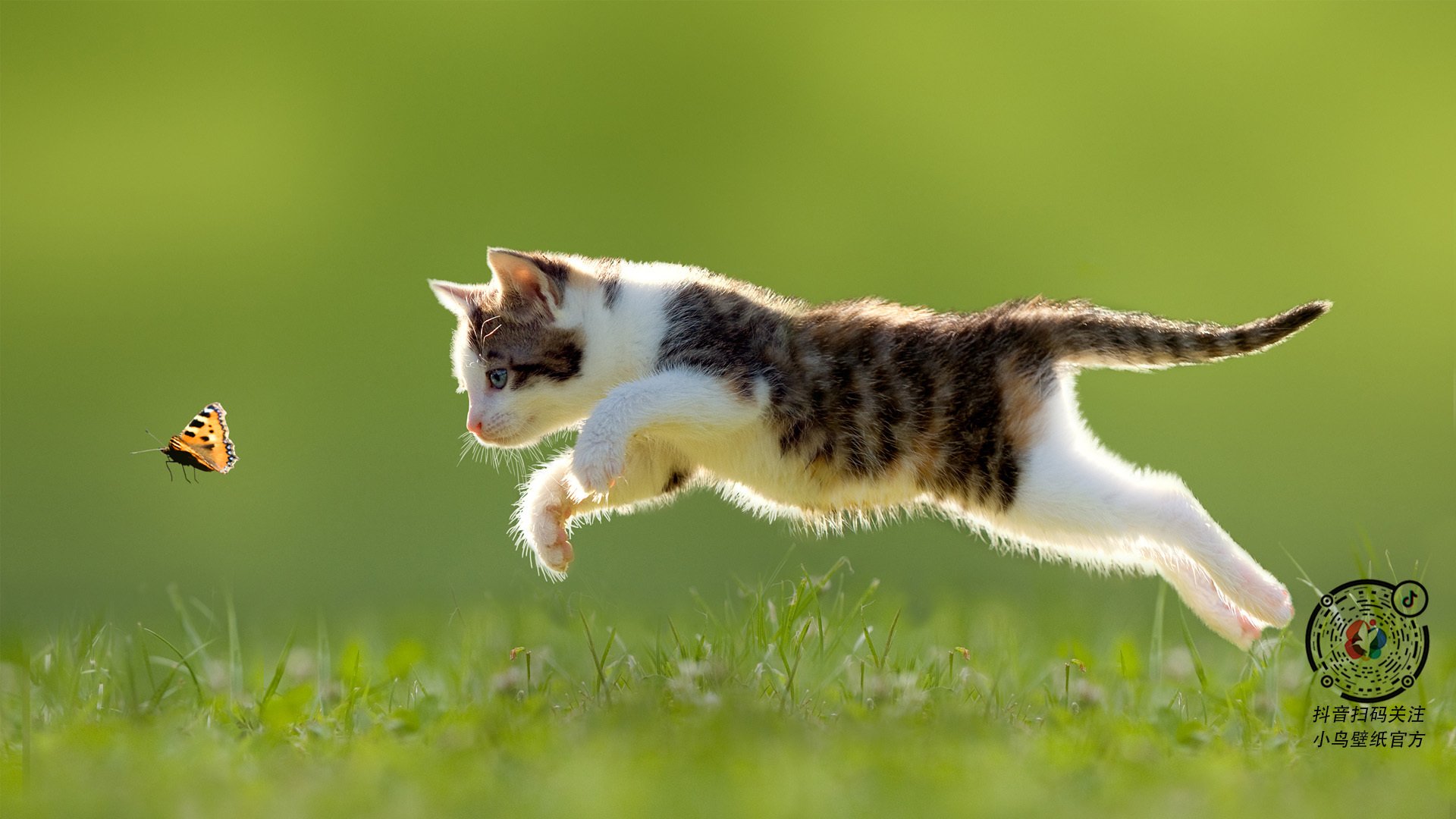 kaiyun体育app-尤文图斯遭遇连败，球迷呼吁换帅，尤文图斯官宣