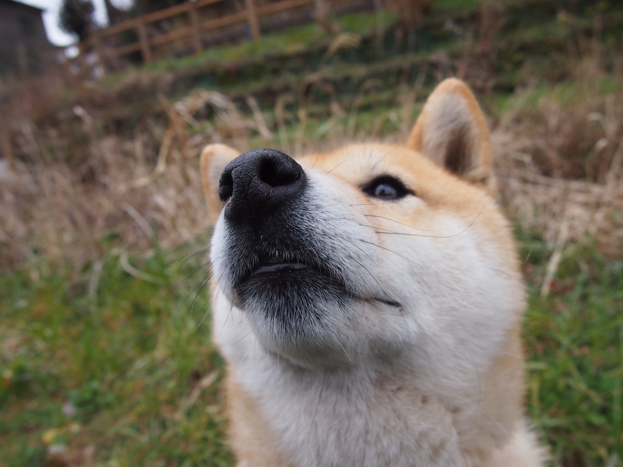 断霸区：利物浦豪取胜利进可击败拜仁慕尼黑，利物浦44场不败