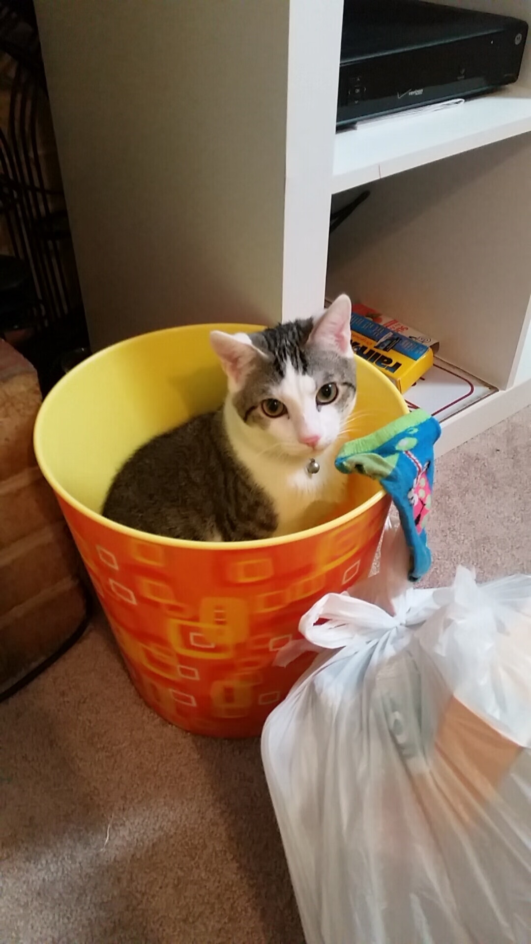 Kaiyun(中国)开云-防守反击的战术，将如何应对攻势？，防守反攻的前提是