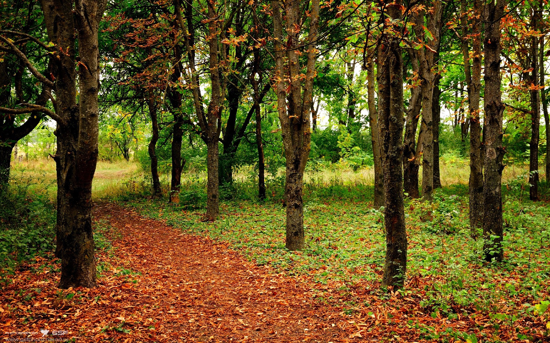 马德里竞技观战敌手表现，策略调整，马德里竞技的比赛