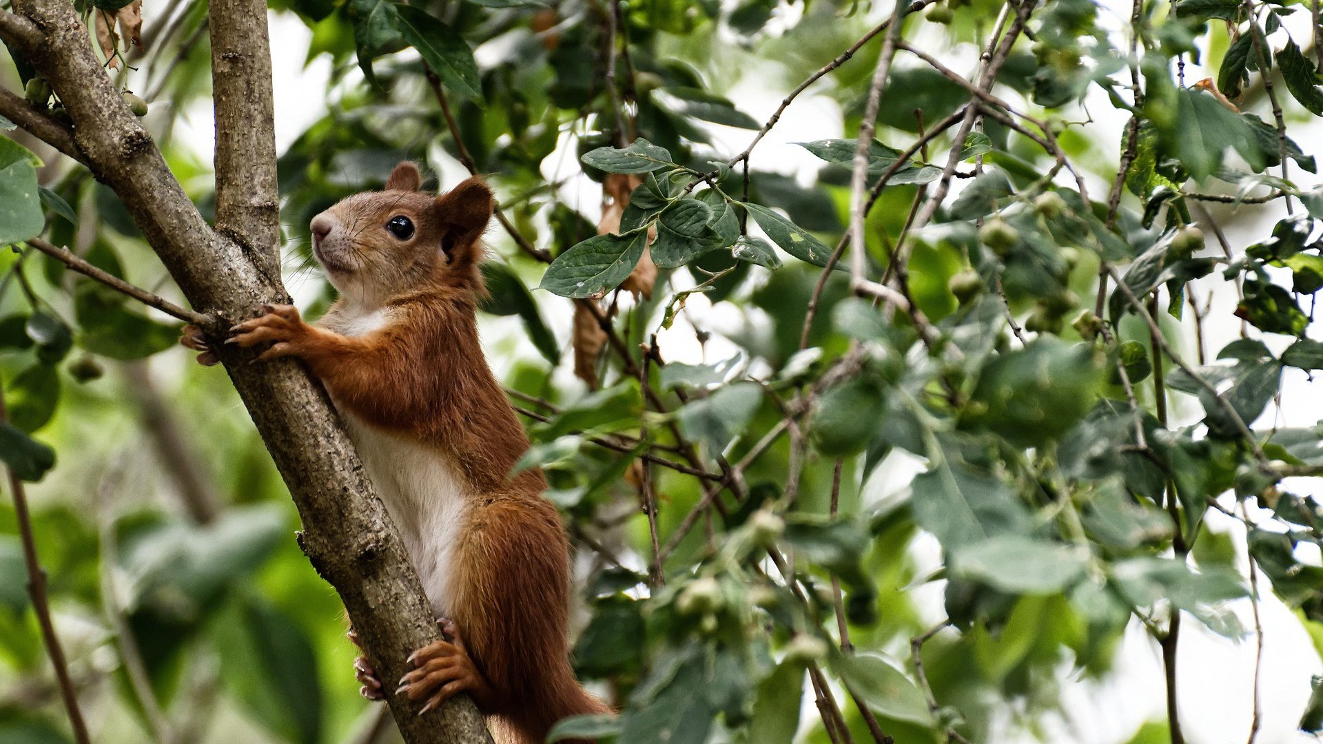开云官方-摩洛哥马术协会推出马术运动员健康管理系统，关注运动员身心健康。