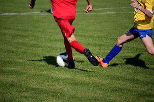 开云入口-篮球训练计划科学制定及执行效果跟踪研究，简述篮球训练计划制定步骤