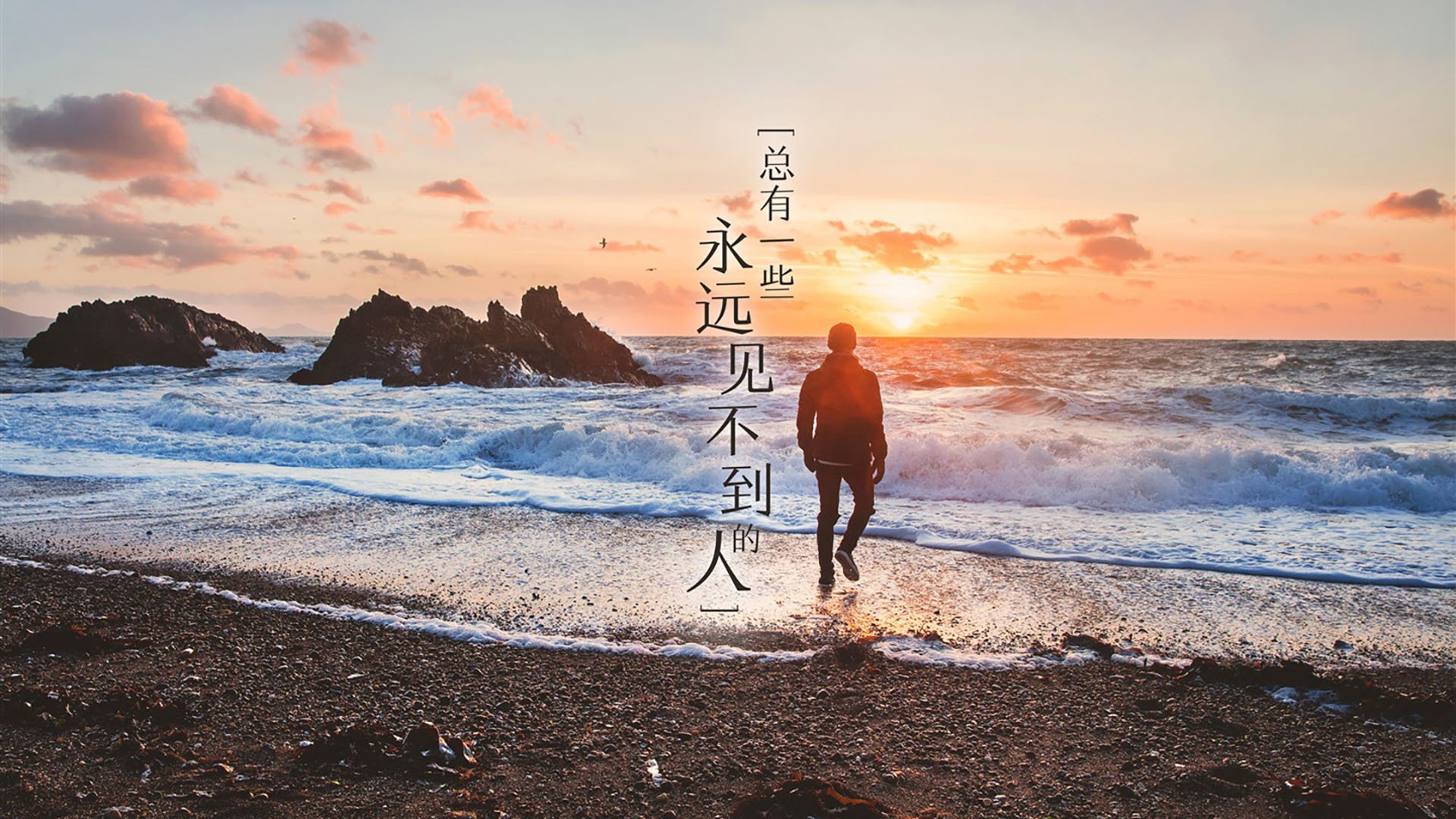 开云中国大陆-“龙泉驿区东安湖体育公园：水上赛事精彩纷呈，成观众新宠”