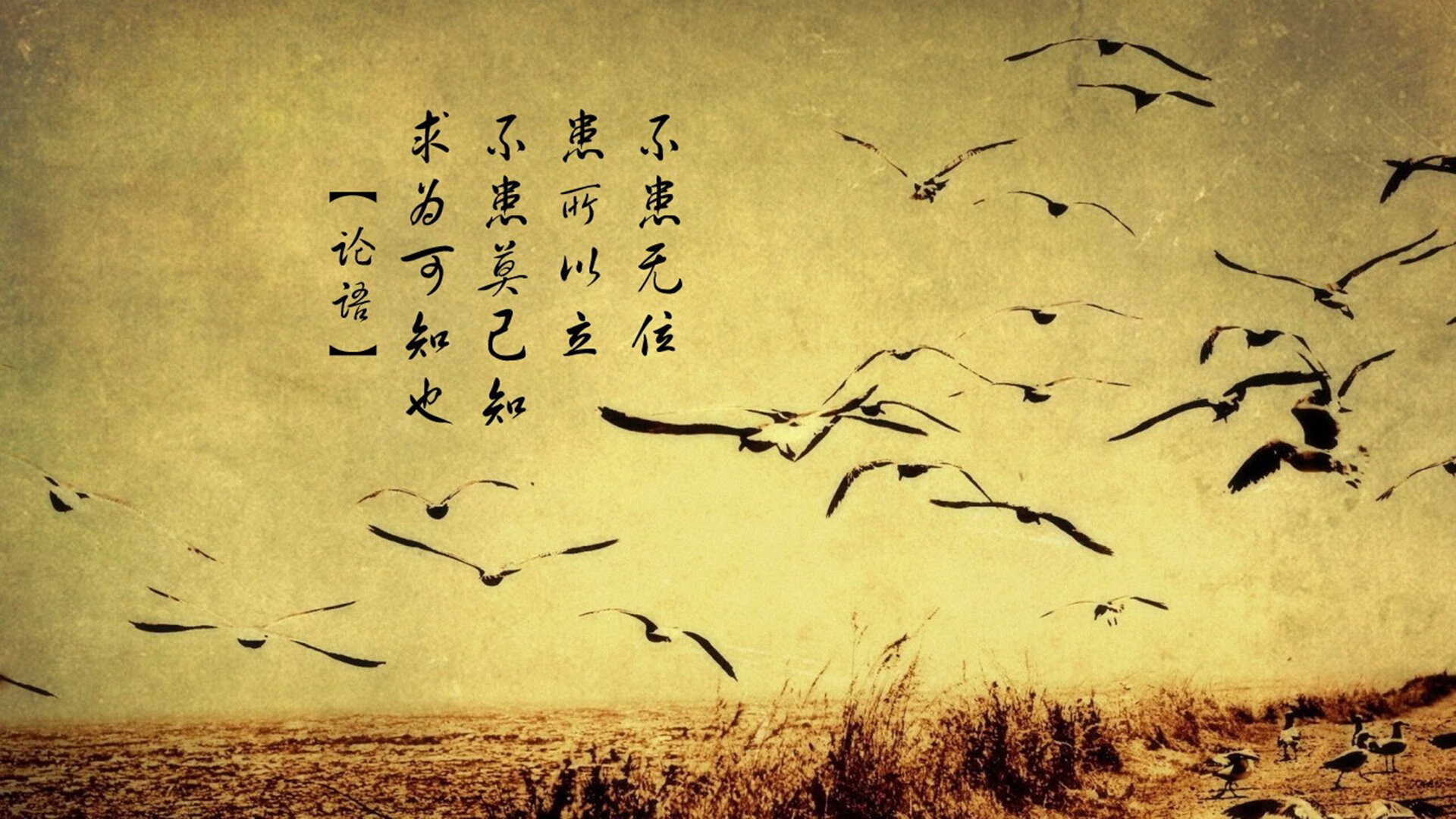 kaiyun官方入口登录-国家队长期缺乏国际友谊赛经验，国家队队友