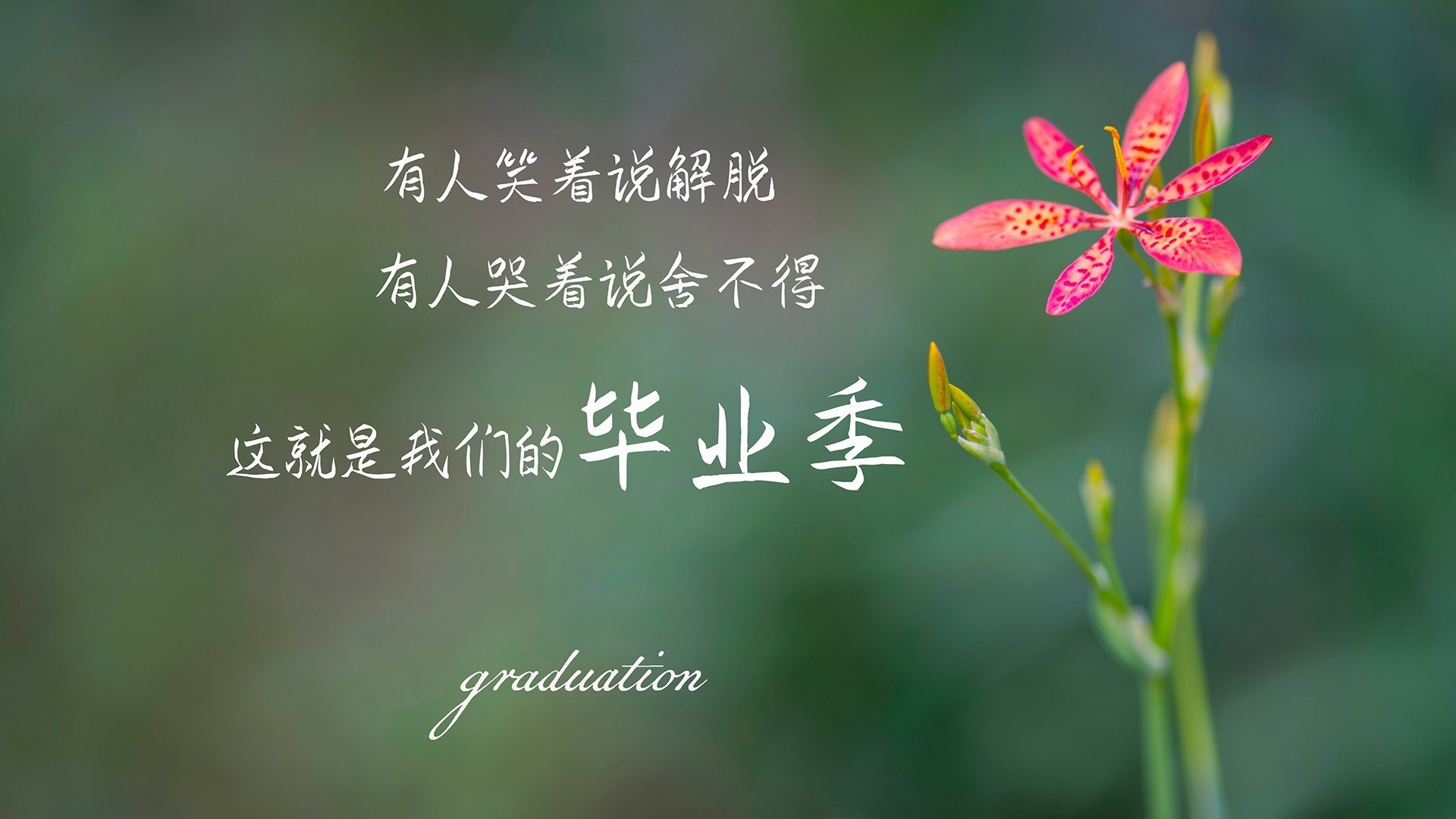 开云kaiyun-埃尔切中场调度节奏感明显提升，埃尔切升级