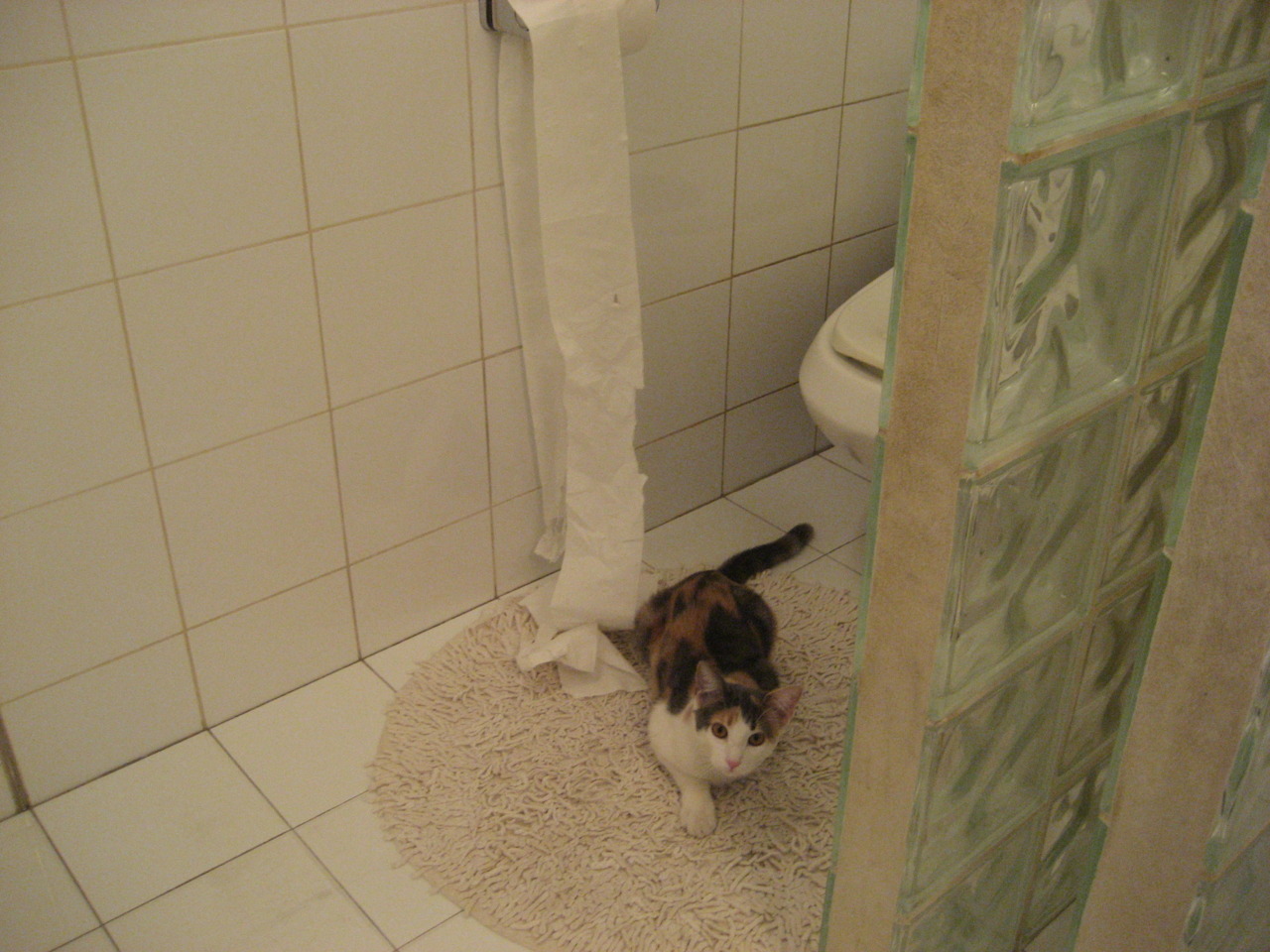 曼城持续构建三线均衡战术体系，曼城3_2曼联