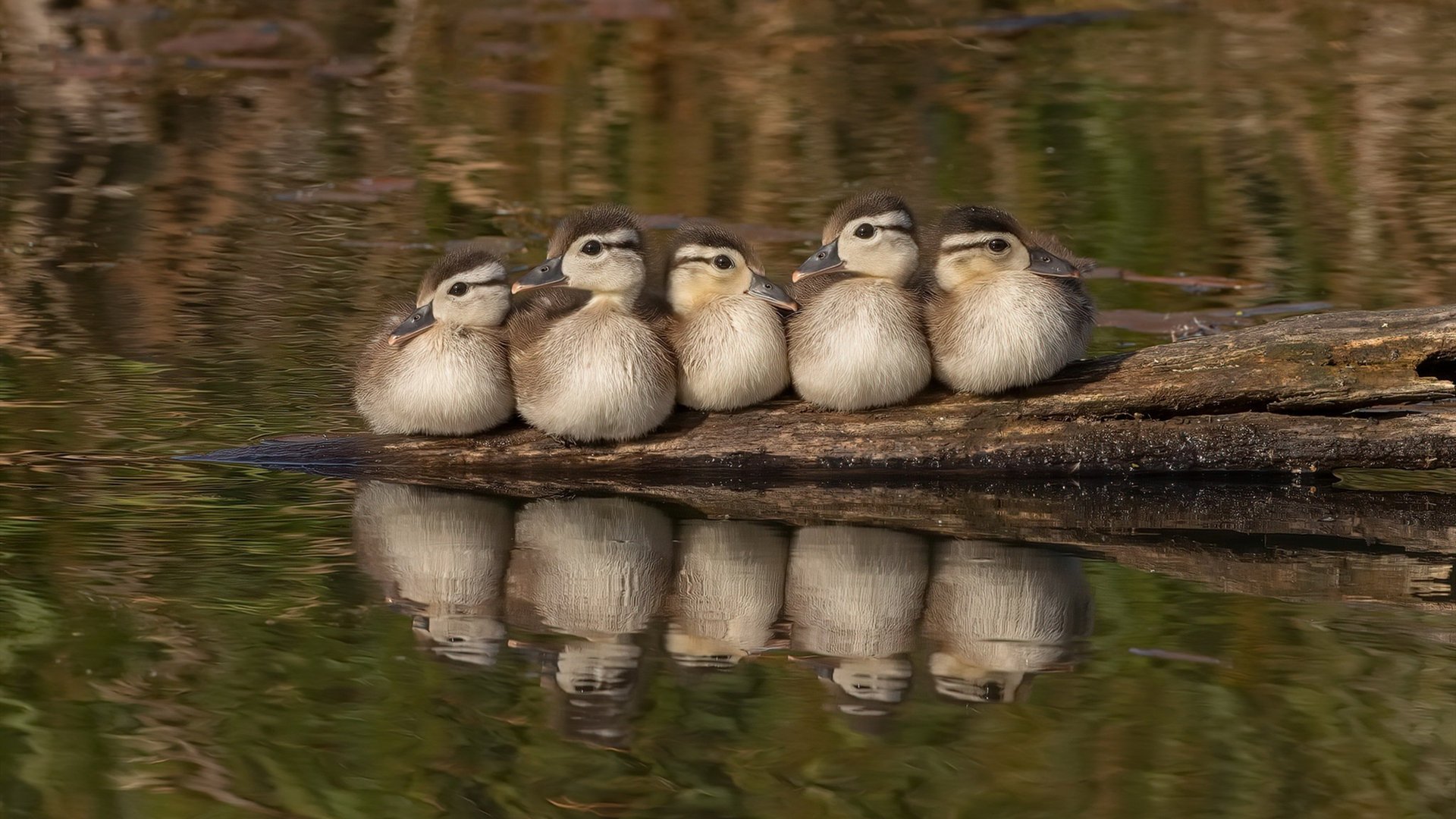 训练方法多元化促进运动员全面发展,多元化锻炼