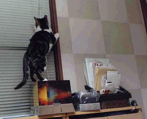 开云网站-边后卫高度跑动与球队攻防转换速率关系，边后卫可以满场跑吗