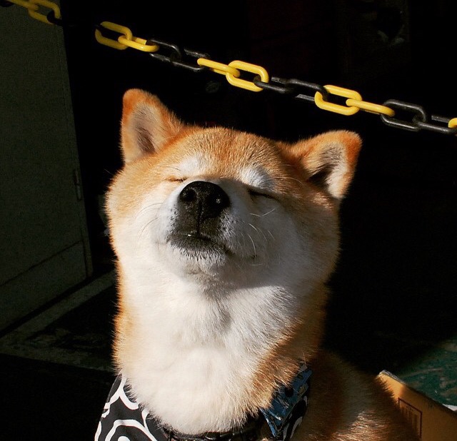 开云官方网页登录-足球青训缺少转会收益回报机制，足球青训赚钱吗