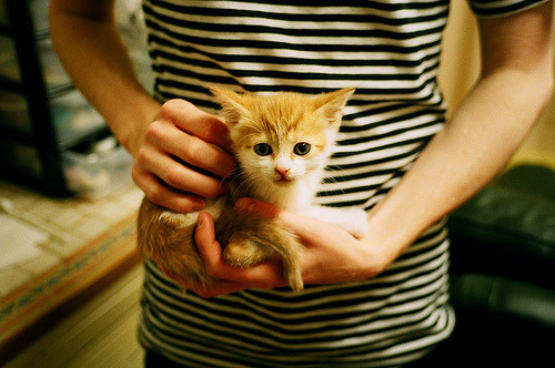 塞尔维亚男篮在欧洲预赛中持续奋勇，冲击奥运盛宴！，塞尔维亚男篮奥运预选赛