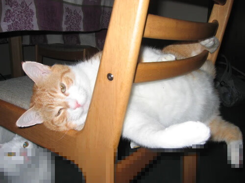 开云官方网站-库里受伤退出季后赛首轮比赛，库里复出比赛