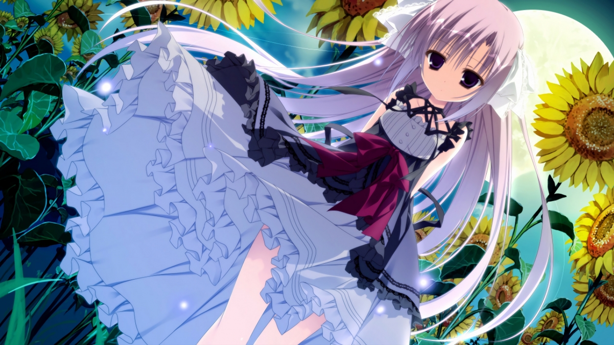 kaiyun官方网站-美洲杯夺冠激情：明星拼搏书写传奇，美洲杯的